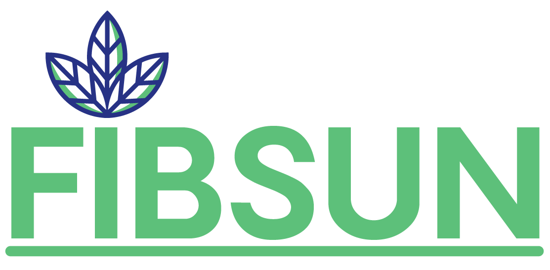 FIBSUN_logo_simples