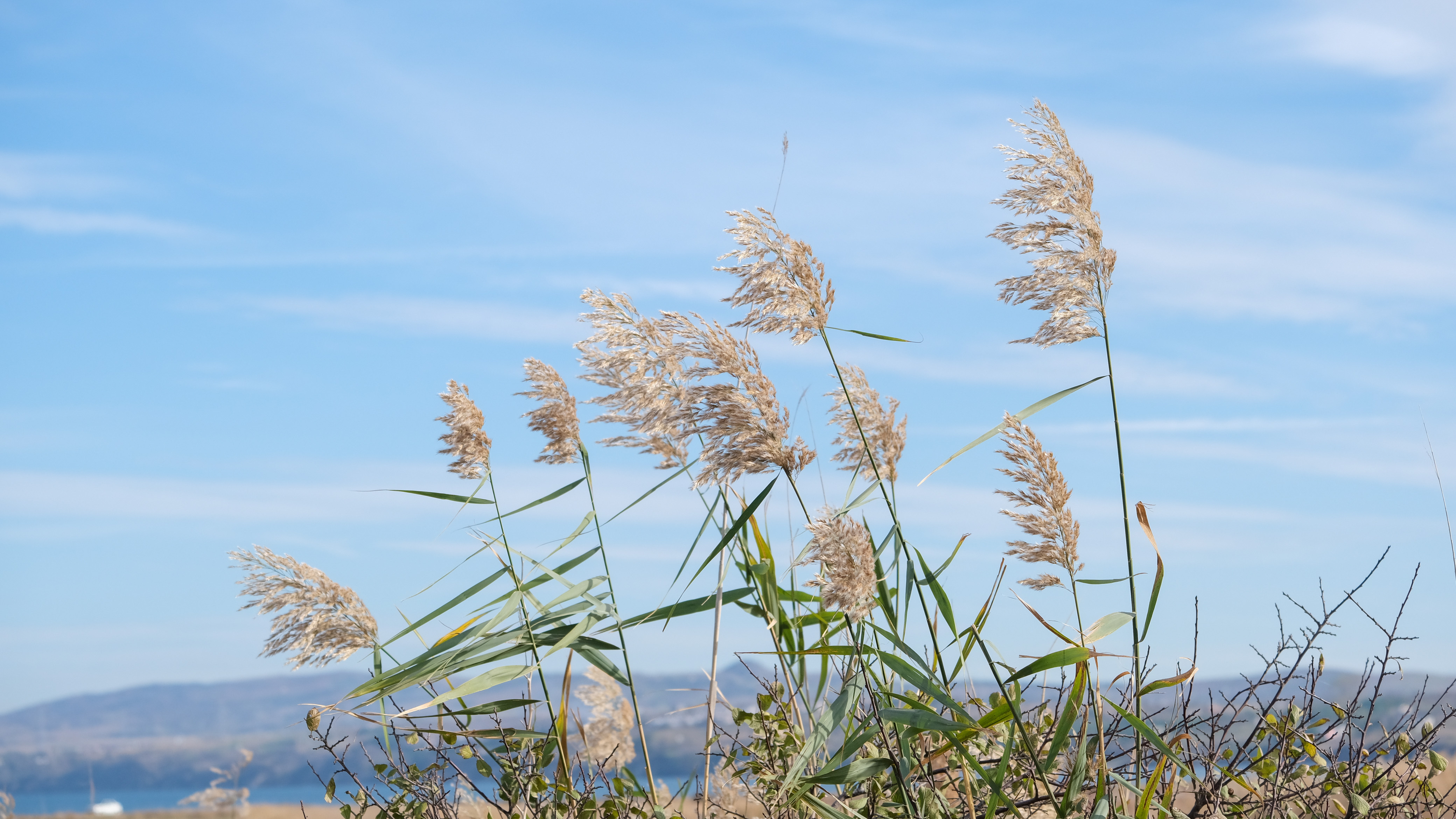 AdobeStock_684769492